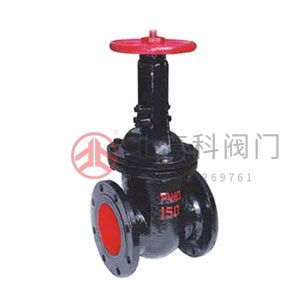 Z44T、Z44W、Z44H 型 PN10、PN16 鐵制平行式雙閘板閘閥