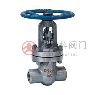 Z61H、Z61Y、Z61W 型 PN100~PN160 承插焊楔式閘閥