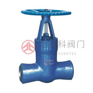 Z61Y-250、Z61Y-320 型高壓電站閘閥