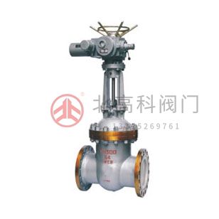 Z940H、Z940Y、Z940W 型 PN100、PN160 鋼制電動楔式閘閥